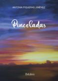 (I.B.D.) PINCELADAS-12476895-otro-formato