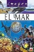 el mar, un universo fantastico (incluye puzzle)-valin le du-9782215066132 el mar, un universo fantastico (incluye puzzle)-valin le du-9782215066132