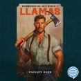 Llamas-17973508-otro-formato