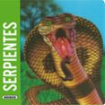 Serpientes-5172036-otro-formato