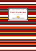 angel en llamas: 47 sonetos y un poema-cesar gonzalez-ruano-9788484722632 angel en llamas: 47 sonetos y un poema-cesar gonzalez-ruano-9788484722632