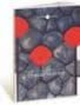ceneri di senso-jenaro talens-9788493537432 ceneri di senso-jenaro talens-9788493537432
