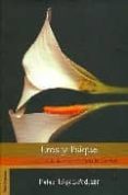 eros y psique. la mutua herida de amor via hacia la plenitud-rafael lopez pedraza-9789686757132 eros y psique. la mutua herida de amor via hacia la plenitud-rafael lopez pedraza-9789686757132