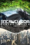 encrucijada-merche diolch-9788416384242 encrucijada-merche diolch-9788416384242