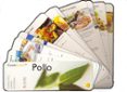 pollo (comida facil, comida estudenda)-9788496107342 pollo (comida facil, comida estudenda)-9788496107342