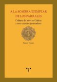 a la sombra ejemplar de los parrales: cultura del vino en galicia y otros espacios peninsulares-xavier castro-9788497042642 a la sombra ejemplar de los parrales: cultura del vino en galicia y otros espacios peninsulares-xavier castro-9788497042642
