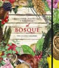 (pe) descubrir, disfrutar y degustar. el bosque-9788415411352 (pe) descubrir, disfrutar y degustar. el bosque-9788415411352