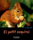 el petit esquirol-pau joan hernandez-9788498253252 el petit esquirol-pau joan hernandez-9788498253252