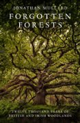 Forgotten Forests-16459241-otro-formato