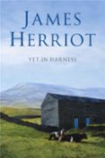 VET IN HARNESS-16188720-otro-formato