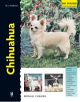 chihuahua (serie excellence)-barbara j. andrews-9788425514562 chihuahua (serie excellence)-barbara j. andrews-9788425514562
