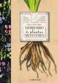 herbario de plantas silvestres-9788480168762 herbario de plantas silvestres-9788480168762