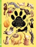 breve gatopedia ilustrada-zoraida zaro soto-9788494469862 breve gatopedia ilustrada-zoraida zaro soto-9788494469862