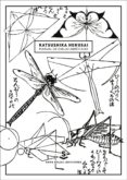 manual de dibujo abreviado-david almazan tomas-hokusai katsushika-9788494735462 manual de dibujo abreviado-david almazan tomas-hokusai katsushika-9788494735462