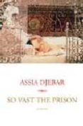 So Vast the Prison-17348396-otro-formato