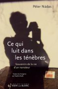 CE QUI LUIT DANS LES TÉNÈBRES