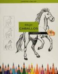 dibujar los caballos-r. fabbretti-9788431552282 dibujar los caballos-r. fabbretti-9788431552282