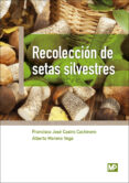 recoleccion de setas silvestres-francisco jose castro cachinero-alberto moreno vega-9788484767282 recoleccion de setas silvestres-francisco jose castro cachinero-alberto moreno vega-9788484767282