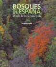 bosques de españa-joaquin araujo-9788497856782 bosques de españa-joaquin araujo-9788497856782