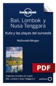 Descargar libro google BALI, LOMBOK Y NUSA TENGGARA 2_2. KUTA Y LAS PLAYAS DEL SUROESTE de VARIOS in Spanish