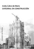 Catedral en construcción-12335571-otro-formato