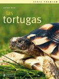 las tortugas-hartmut wilke-9788425519192 las tortugas-hartmut wilke-9788425519192