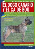 dogo canario y el ca de bou-pascual asensi peinado-9788430588992 dogo canario y el ca de bou-pascual asensi peinado-9788430588992