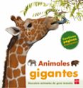 animales gigantes-marie greenwood-9788467553192 animales gigantes-marie greenwood-9788467553192