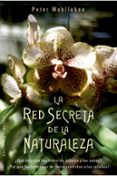 la red secreta de la naturaleza-peter wohlleben-9788491114192 la red secreta de la naturaleza-peter wohlleben-9788491114192