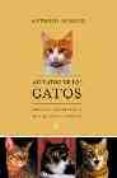alegatos de los gatos: relatos con retratos de los gatos literato s-antonio burgos-9788497342292 alegatos de los gatos: relatos con retratos de los gatos literato s-antonio burgos-9788497342292
