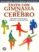 exito con gimnasia para el cerebro: ejercicios sencillos para aumentar la productividad-gail e. dennison-9789688607572 exito con gimnasia para el cerebro: ejercicios sencillos para aumentar la productividad gail e. dennison 9789688607572