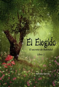 Portada de EL ELEGIDO (EL SECRETO DE RUBINDUL)