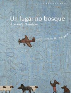 Portada de UN LUGAR NO BOSQUE