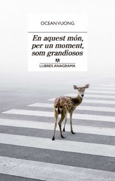 Portada de EN AQUEST MON, PER UN MOMENT, SOM GRANDIOSOS (EBOOK)