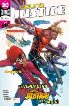 Portada de YOUNG JUSTICE Nº 14