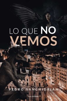 Descargar libros para kindle iphone LO QUE NO VEMOS DJVU (Spanish Edition)