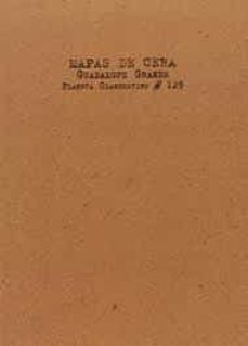 Portada de MAPAS DE CERA