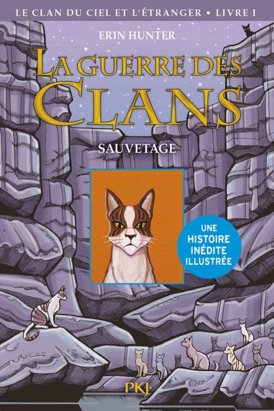La Guerre Des Clans LA GUERRE DES CLANS ILLUSTREE CYCLE IV - TOME 1 LE CLAN DU CIEL E T L