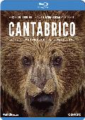cantabrico, los dominios del oso pardo - blu ray --8436564162427 cantabrico, los dominios del oso pardo - blu ray --8436564162427
