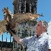 Perfil de José Enrique Serrano Expósito José Enrique Serrano Expósito